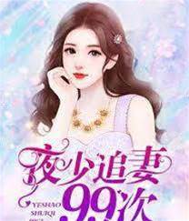 夜少追妻99次