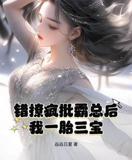 錯撩瘋批霸總後我一胎三寶