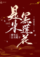 重生後公主殿下是朵黑蓮花