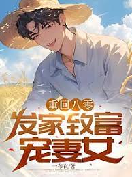 重回八零：發家致富寵妻女