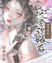 寵妾改嫁後，清冷權臣強取豪奪